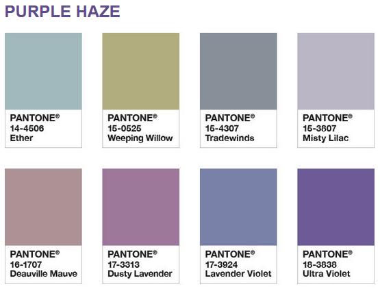 Paleta purple haze