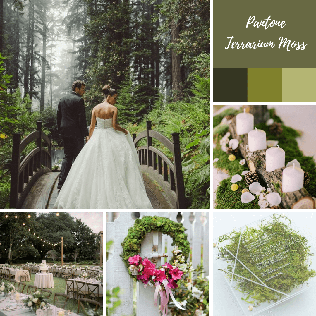 Pantone Terrarium Moss