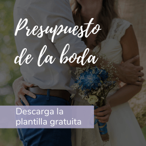Descarga la Plantilla gratuita Presupuesto de la Boda